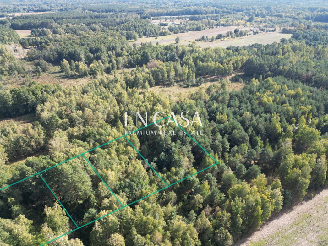 Plot Sale Kuklówka Radziejowicka Zalana Łąka 3